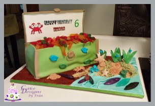 6th Birthday Cake1